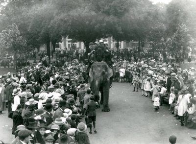 Menigte Bezoekers Bekijkt een Olifantenrit in de London Zoo, Augustus Bank Holiday, 1922 door Frederick William Bond